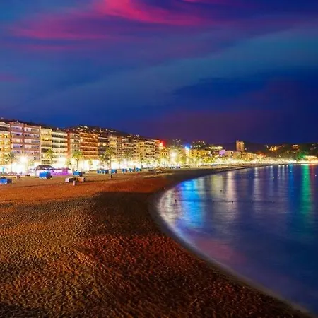 In - 104833 * يوريت دي مار